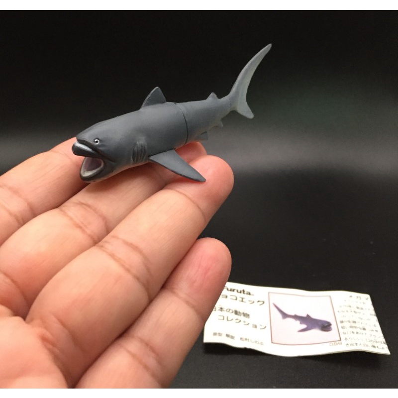 ฟิกเกอร์ ปลาจิ๋ว  ฉลามปากโต  "Megamouth Shark" Kaiyodo Furuta Chocoegg Fish Mini Figure Miniature japan import