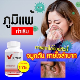 💯ส่งตรงจากบริษัท จบทุกภูมิแพ้ ไซนัส วี-ลูติน   สารสกัดจากธรรมชาติ  ริดสีดวงจมูกแก้ให้หายขาดด้วย    นำเข้าจาก3ประเทศ 🇨🇭🇺🇸