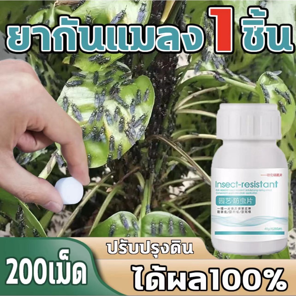 1 เม็ดใช้ได้ 200 วัน GM ยาเชื้อราในพืช ยาฆ่าแมลงกินใบ ยาฆ่าแมลง 200เม็ด 1เม็ดใช้ได้120วัน ปกป้องรากพืช ฆ่าเชื้อ กำจัดแม