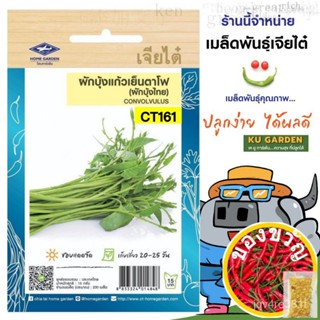 CHIATAI  ผักซอง เจียไต๋ O161#ผักบุ้งแก้วเย็นตาโฟ ซองประมาณ 230 เมล็ด เมล็ดพันธุ์ผัก เมล็ดผัก เมล็ดพืช ผักสวนครัว内裤/母婴/种子