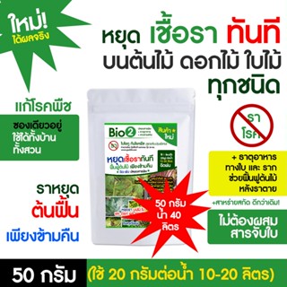 ฆ่าเชื้อรา ในทันที 50g ฉีดพ่น กันโรคพืช เชื้อราต้นไม้ โรคใบ โรครากเน่า +ธาตุอาหาร บำรุงต้น ใบ หลังราตาย ปลอดสารเคมี!