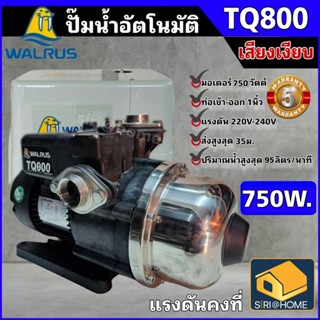 💢ส่งฟรี💢 WALRUS รุ่น TQ800 750 วัตต์ ปั๊มน้ำอัตโนมัติ ปั๊มน้ำ 1 นิ้ว ปั้มน้ำ ปั้มน้ำอัตโนมัติ 750วัตต์ ปั๊มน้ำออโต้