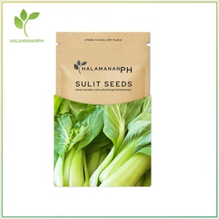 ผลิตภัณฑ์ใหม่ เมล็ดพันธุ์ จุดประเทศไทย ❤1000 SEEDS PECHAY GREEN STEM BOKCHOI - SUPER SULIT VEGETABLE SEED PACK  /ดอก 0C3