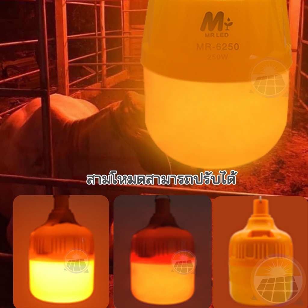 ไม่แพง ไฟไล่ยุงโซล่าเซลล์ 250W ไล่ยุงได้ LED 3สี ไฟหลอดตุ้มไล่ยุง หลอดไฟไร้สาย ไฟโซล่าเซล ไฟเปิดปิดอัตโนมัติ COD ราคา ถูกที่สุด ดีลบีเคเค แกลเลอรีภาพที่ 3