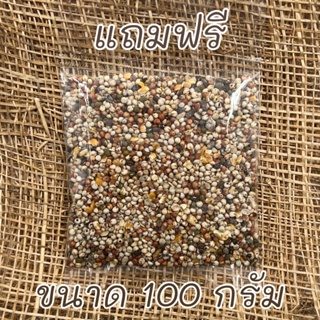 (สินค้าแถมฟรี) อาหารนกเขาใหญ่ เขาชวา เขาแขก นกพิราบ ขนาด 100 กรัม