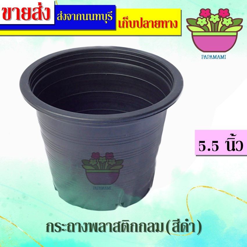 (20-100ใบ)papamami กระถางพลาสติก กระถางดำ 5.5นิ้ว กระถางปลูกต้นไม้ กระถางต้นไม้ ที่ปลูกต้นไม้