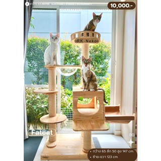 คอนโดแมว บ้านแมว ของเล่นแมว รุ่น 80