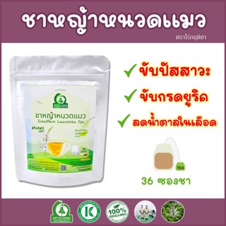 ชาหญ้าหนวดแมว (Java Tea, Cat’s whiskers) ตราไร่กฤติยา - ออร์แกนิค ไม่มีน้ำตาล ช่วยขับปัสสาวะ ลดความดันโลหิต