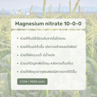 500G/1KG แมกนีเซียมไนเตรท 10-0-0 + 16MgO ปุ๋ยบำรุงใบ / Magnesium nitrate - Chemrich