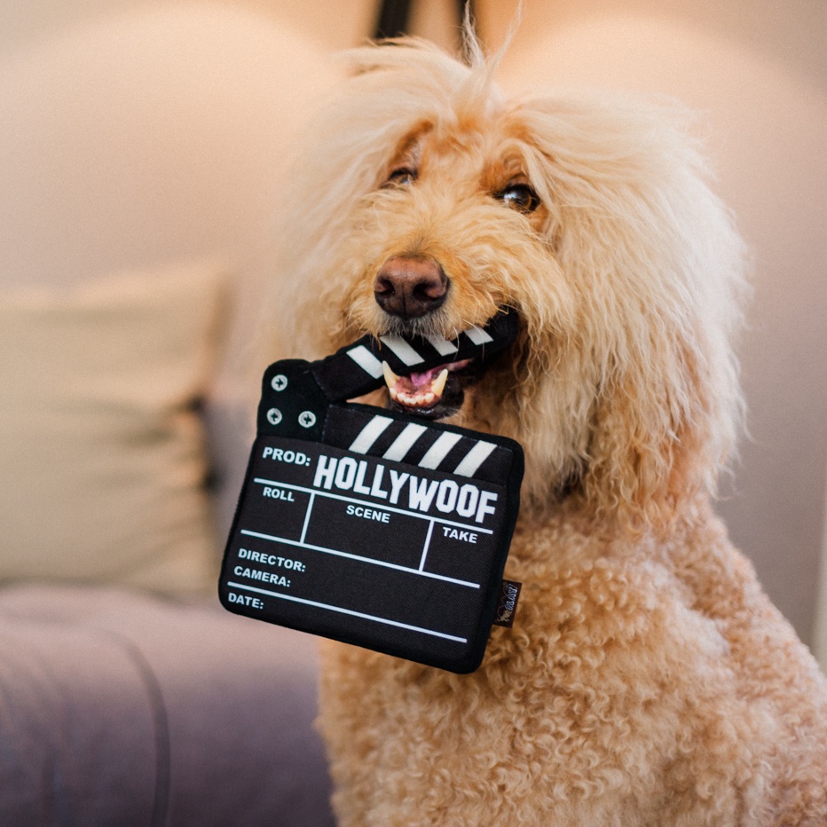 PLAY Doggy Director Board กำกับภาพยนตร์ของเล่นตุ๊กตาสุนัข Plush Dog Toy