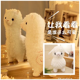 ตุ๊กตาแกะ ตุ๊กตาอัลปาก้า Alpaca Doll อรุ่มเจ๊าะ