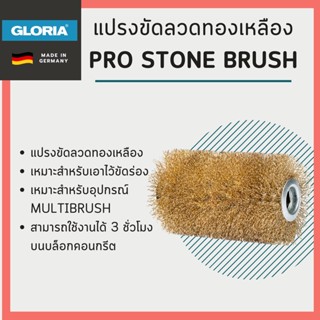 แปรงทองเหลือง Stone Pro ขัดพื้นหิน ใช้กับ เครื่องขัดพื้น PowerBrush เครื่องขัดพื้น MultiBrush