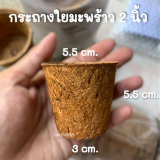 10ชิ้น กระถางใยมะพร้าว coir pors cocopots coco coconut fiber pots กระถางต้นไม้ กระถางใยมะพร้าว ใยมะพร้าว กระถางรักษ์​โลก