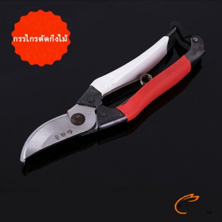 Glanxuan กรรไกรตัดกิ่งไม้ กรรไกรตัดดอก อุปกรณ์ทำสวน Pruning shears