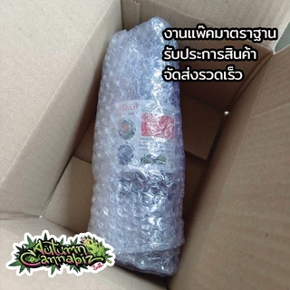 น้ำส้มควันไม้ แท้100% กำจัด ขับไล่ ไรแดง เพลี้ยไฟ แมลง ศัสตรูพืชอื่นๆ กลั่นเอาน้ำมันดินออก สูตรเข้มข้นยังไม่ผสมน้ำ 500ml