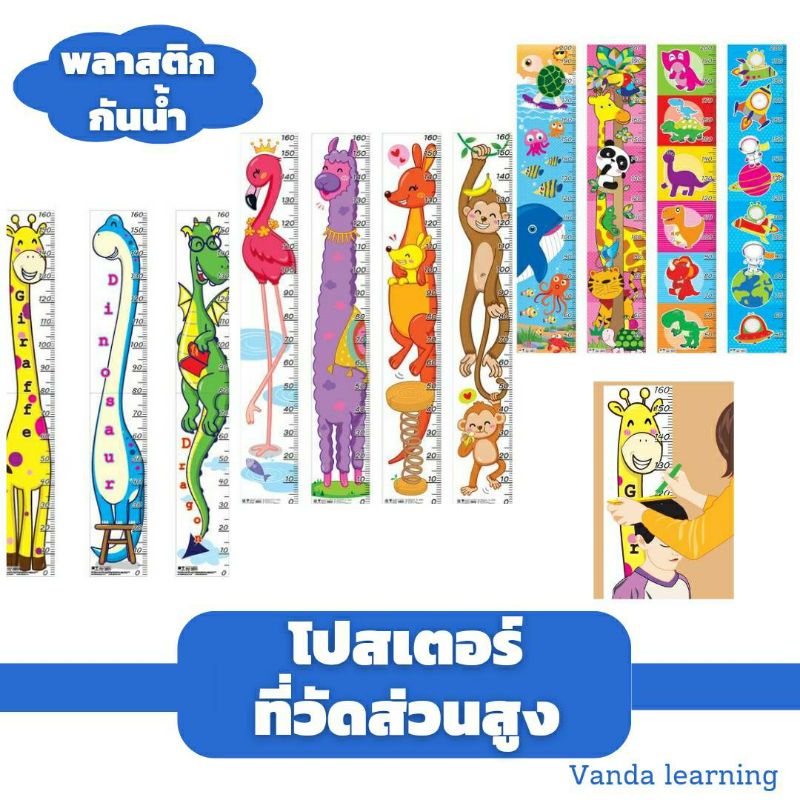 แถม++กาวติด 6 ชิ้น โปสเตอร์วัดส่วนสูง ที่วัดส่วนสูงเด็ก ลายสัตว์ Vanda Learning