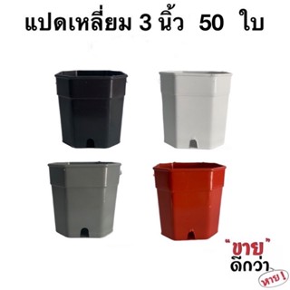 กระถางแคคตัส แปดเหลี่ยม 3 นิ้ว 50 ใบ