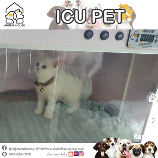 ตู้พ่นยา ตู้อนุบาลและพักฟื้นสัตว์เลี้ยง ให้ออกซิเจนขนาดใหญ่ ไซส์ L icu ขนาด หน้ากว้าง 60*สูง40ลึก40cm.