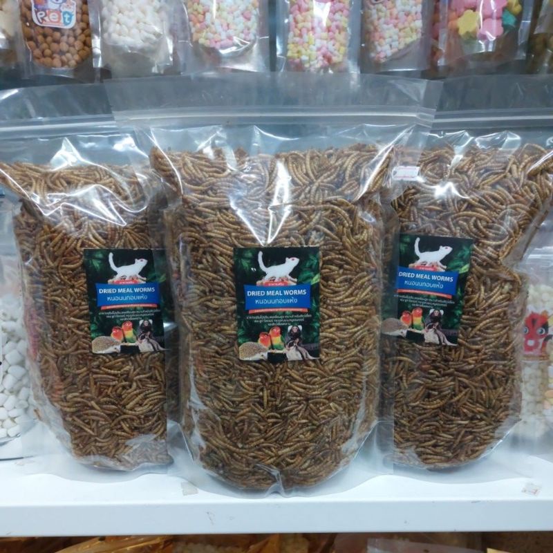 Dried Meal Worms หนอนนกอบเเห้ง อาหารเสริมโปรตีนสำหรับสัตว์เลี้ยง