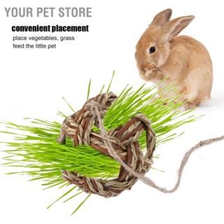 Your Pet Store ลูกบอลกัด อเนกประสงค์ ของเล่นเคี้ยว สําหรับสัตว์เลี้ยง หนูแฮมสเตอร์ กระต่าย