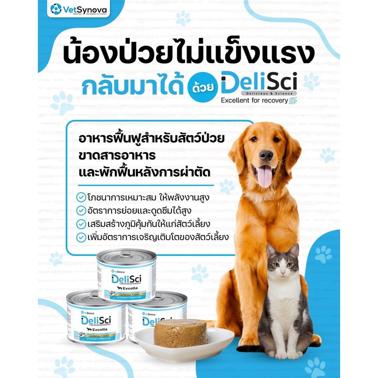 DeliSci Excella Excellent for recovery อาหารฟื้นฟูสําหรับสัตว์ป่วย ขาดสารอาหาร และพักฟื้นหลังการผ่าตัด สูตรไก่และสูตรปลา