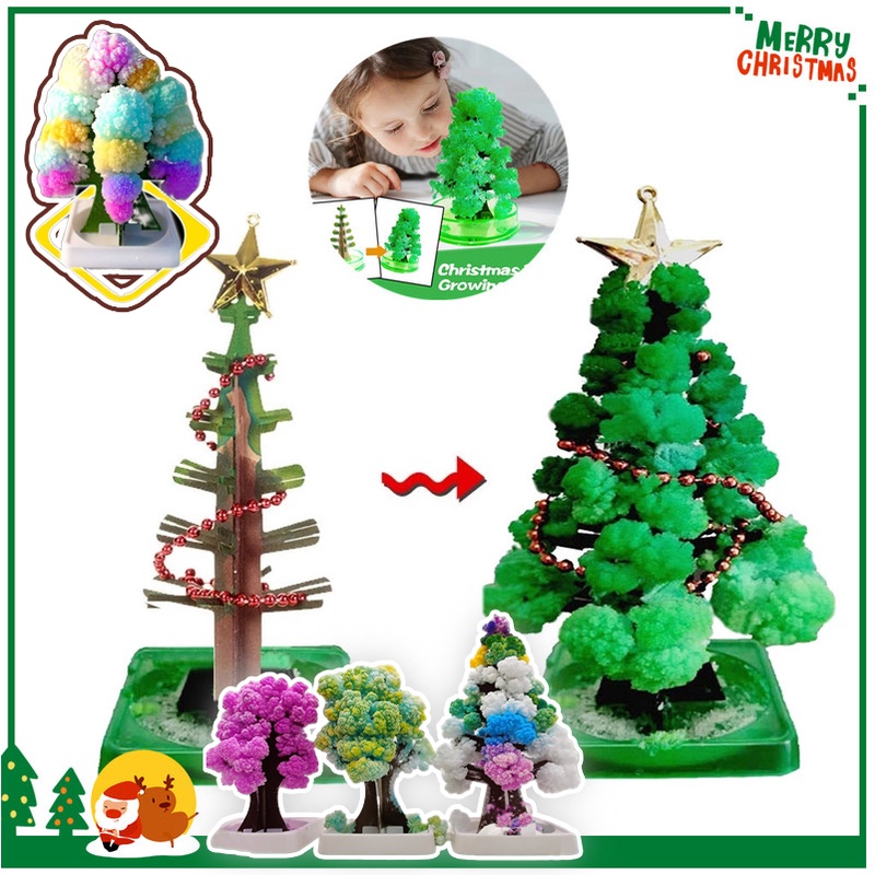 Magic Growing Christmas Tree ต้นคริสต์มาส ต้นไม้วิทยาศาสตร์ DIY Kid Magic Cardboard Paper Toy Gift