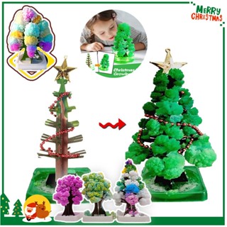 Magic Growing Christmas Tree ต้นคริสต์มาส ต้นไม้วิทยาศาสตร์ DIY Kid Magic Cardboard Paper Toy Gift