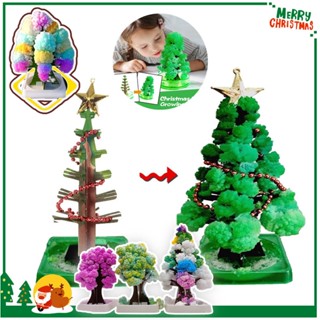 Magic Growing Christmas Tree ต้นคริสต์มาส ต้นไม้วิทยาศาสตร์ DIY Kid Magic Cardboard Paper Toy Gift