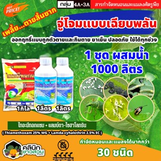 🥬 ชุดกำจัดเพลี้ยสิ้นซาก ไทอะมีทอกแซม+แลมป์ดา ไก่เกษตร (ไทอะมีทอกแซม+แลมป์ดา-ไซฮาโลทริน) จู่จอมแบบเฉียบพลัน