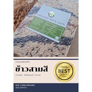 ข้าวออแกนิคสามสี ( 3 Rice Mixed )