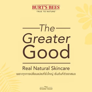 Burt's Bees Elderberry Rescue Balm with Turmeric 4.25 g