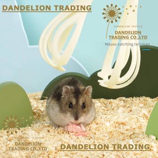 [DANDELION] คลิปจับหนูแฮมสเตอร์ ป้องกันหนูแฮมสเตอร์กัด กันรอยขีดข่วน แบบเปลี่ยน สําหรับเด็ก