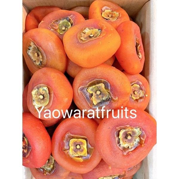 พลับแห้งกุ้ยหลินจีนพรีเมี่ยมสดใหม่สวยทุกชิ้น *พร้อมส่งทุกวัน*