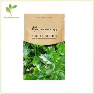 ผลิตภัณฑ์ใหม่ เมล็ดพันธุ์ จุดประเทศไทย ❤2500 SEEDS CHINESE CELERY - KINCHAY SUPER SULIT VEGETABLE SEED PACK [Halam/เมล็ด