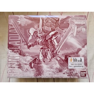 Bandai - Plastic Model MG 1/100 Ginn Gladiator