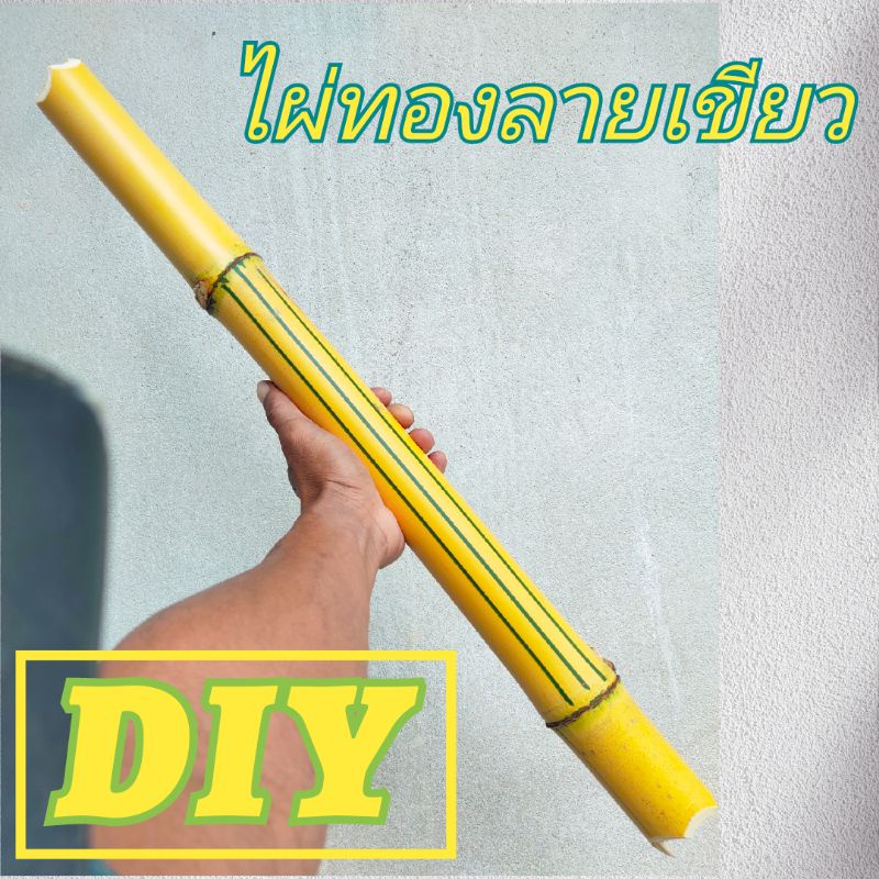 ไม่ไผ่ ไผ่ยิ้ม ไผ่ทองลายเขียว งานศิลปะ DIY ปล้องใหญ่แถมปล้องเล็ก