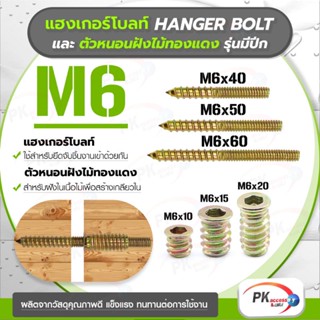 แฮงเกอร์โบลท์ + ตัวหนอนฝังไม้ทองแดง รุ่นมีปีก M6 ราคาต่อ2ชุด