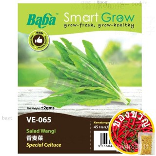 GNC-Baba Smart Growth SEED: VE-065เมล็ดพืชผักเมล็ดพืชฟื้นฟูมหัศจรรย์/ทานตะวัน/บ้านและสวน/seeds/ E9LN