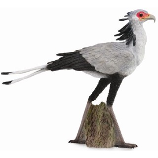 Collecta 88796 เลขา 4 5/16 ในสัตว์ป่า