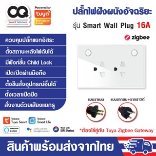 Tuya Zigbee Smart Wall Plug ปลั๊กไฟฝังผนัง แบบ 2 เต้าเสียบ 16A 220V รุ่น PW801 ทำงานร่วมกับ Zigbee Gateway รองรับ Alexa