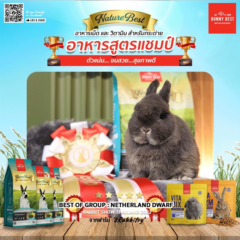 วิตามิน VITA MIX 120g. by Bunny Best ราคา ถูกที่สุด ดีลบีเคเค แกลเลอรีภาพที่ 8