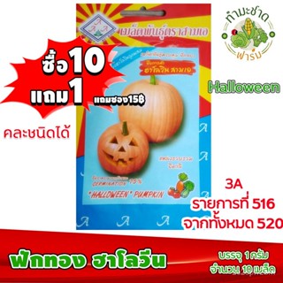 （คุณภาพสูง เมล็ด）[10แถม1] 3A เมล็ดพันธุ์ ฟักทอง ฮาโลวีน ประมาณ 10 เมล็ด เมล็ดพันธุ์สามเอ HALLOWEEN P/ง่าย ปลูก ส/ขายดี 1