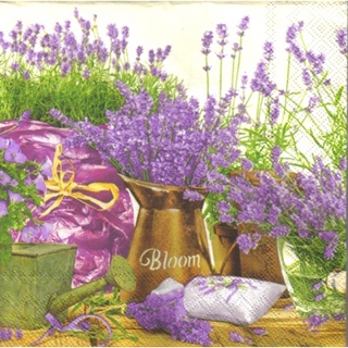 Pladao Napkin ภาพสวน กระถางลาเวนเดอร์ Lavender Garden ครีม กระดาษ แนพกิ้น สำหรับงานศิลปะ เดคูพาจ decoupage ขนาด L 33x33