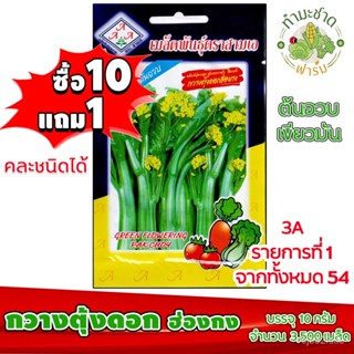 （คุณภาพสูง เมล็ด）[10แถม1] 3A เมล็ดพันธุ์ กวางตุ้งดอกฮ่องกง 3,500 เมล็ด ต้นอวบ เขียวมัน เมล็ดพันธุ์สา/งอก ปลูก ส/งอก TKAN