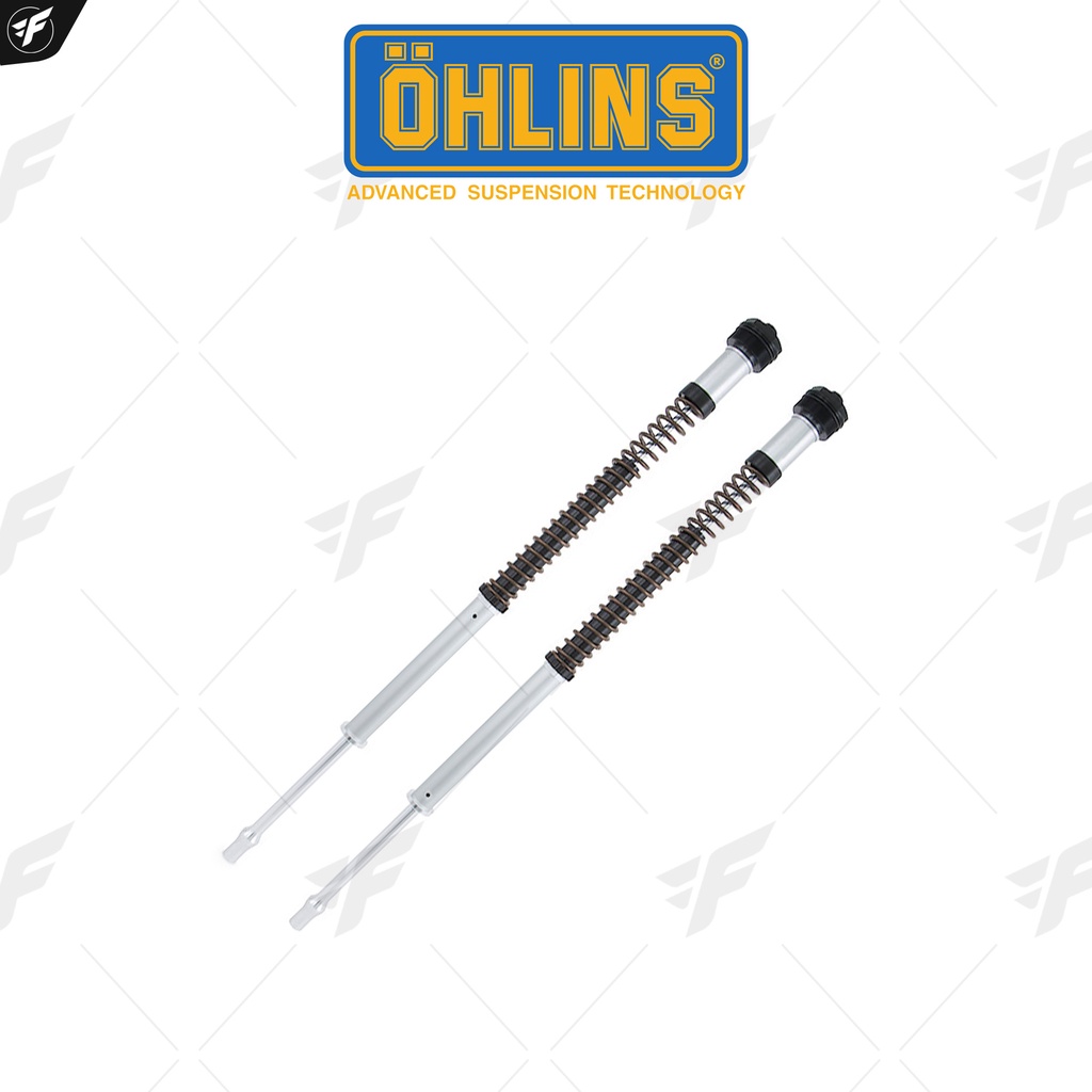 สปริงโช๊คหน้าแต่ง OHLINS Front Cartridge FKS 209 : for Kawasaki ER-6 N/F 2009-2016/Z 650 2017-2022