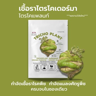 ไตรโคเดอร์มา (100g) กำจัดโรคพืชและแมลง ครบจบในซองเดียว เพาะเชื้อจากห้องLAB100%