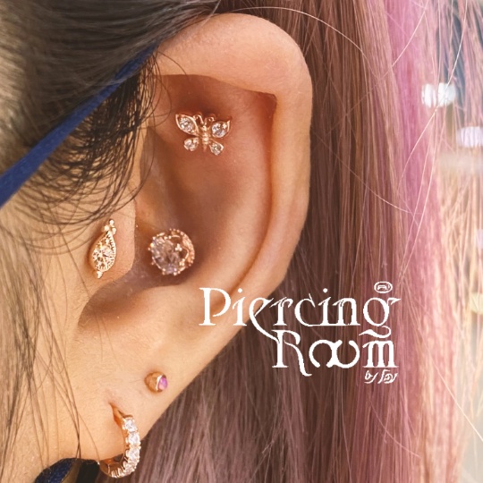Piercingroom by Jay حلق Crown Gems فضة للبشرة الحساسة — صورة 3