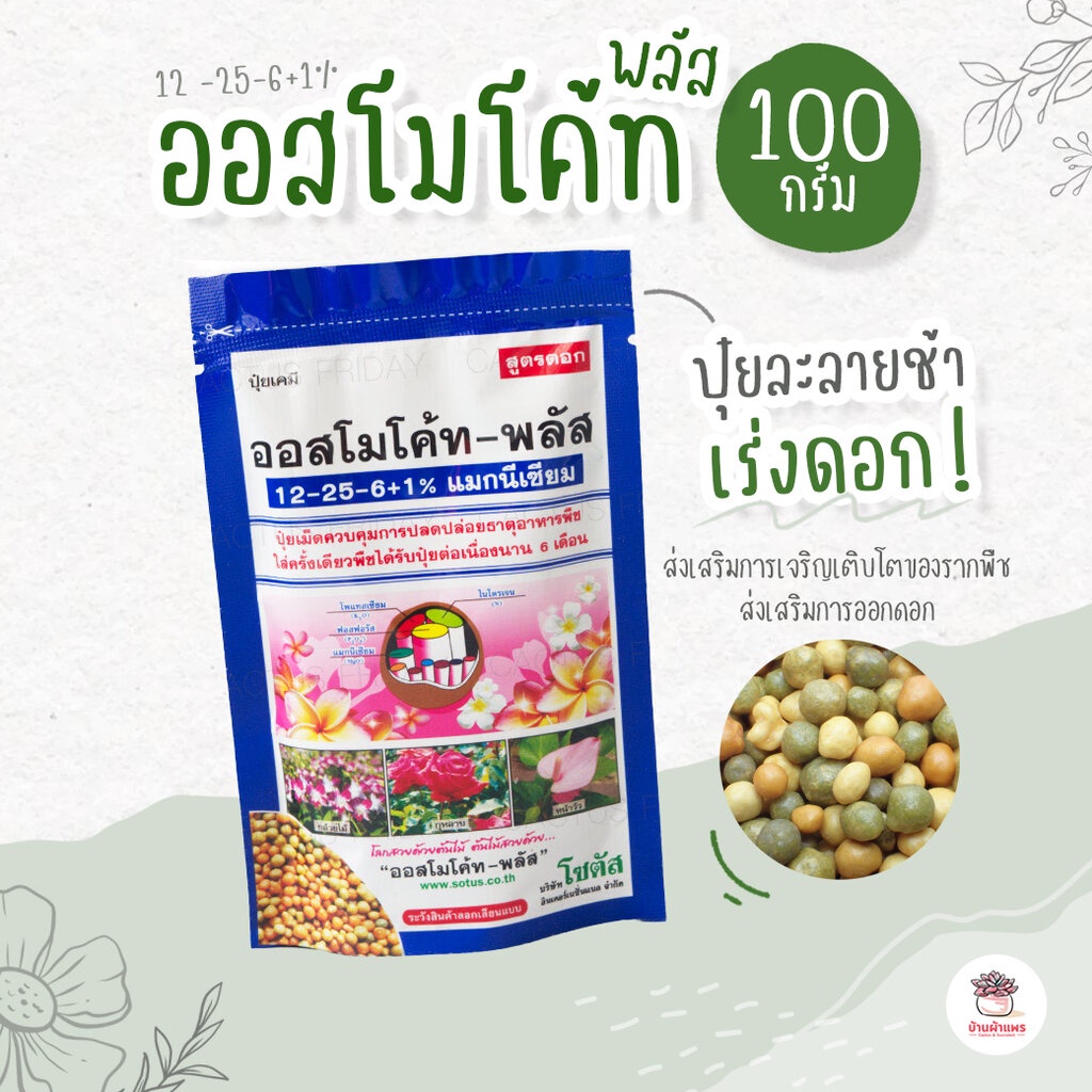 ออสโมโค้ทพลัส 12 -25-6+1% แบบซอง ไม้อวบน้ำ กุหลาบหิน cactus&succulent