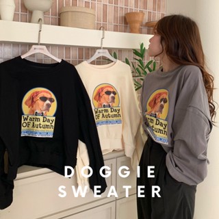 SOMEDRESS | Doggie Sweater