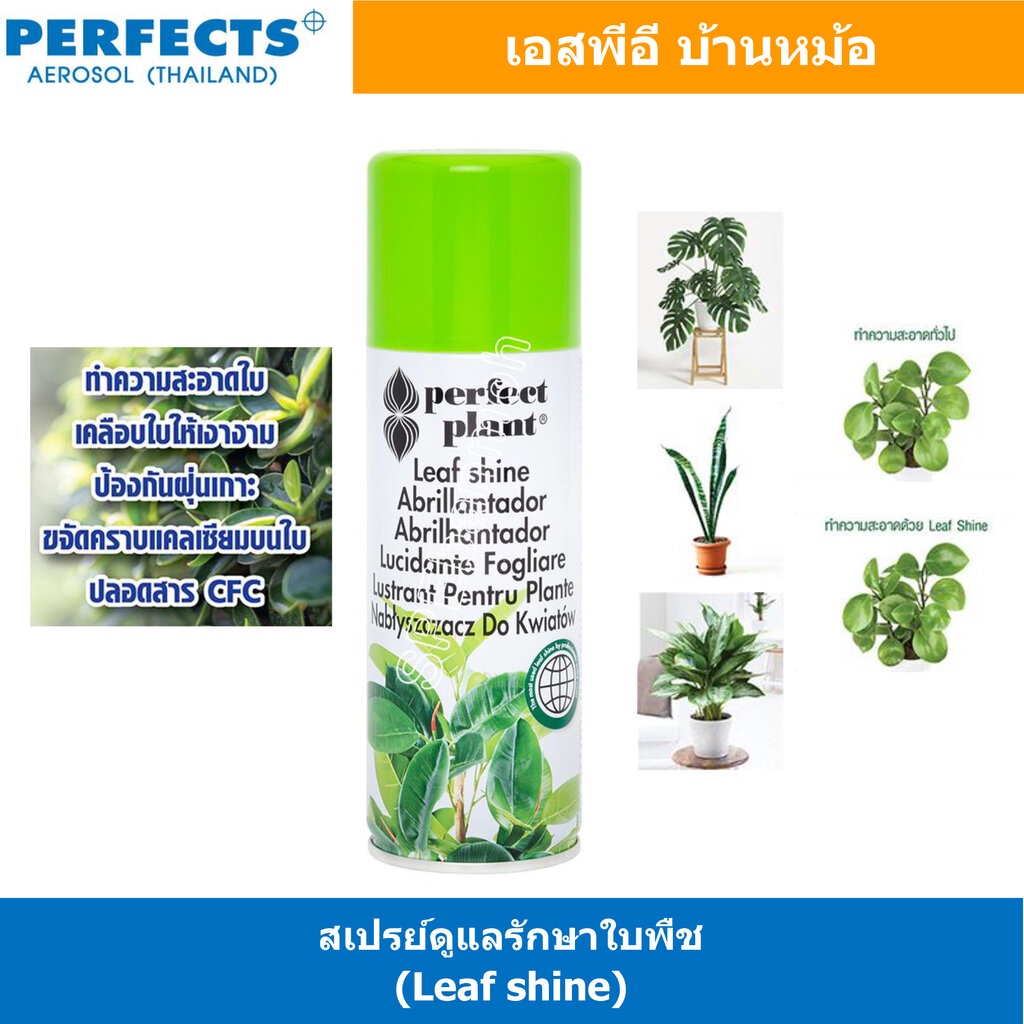 [ 1ชิ้น ] PERFECTS LEAF SHINE SPRAY สเปรย์ดูแลรักษาใบพืช 200ml สเปรย์เคลือบเงาใบไม้ ดูแลต้นไม้ น้ำยาอเนกประสงค์ Multi...
